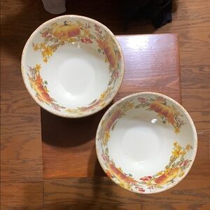 ENVOGUE- Two Fall Themed Soup Bowls.